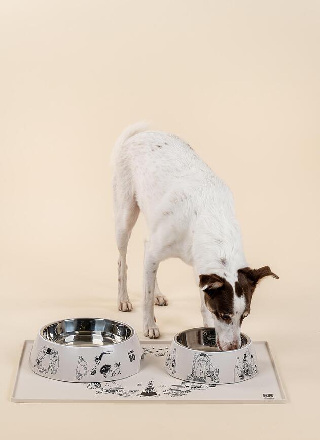 Muurla Moomin Gamelle pour chien ou chat, taille S, 80