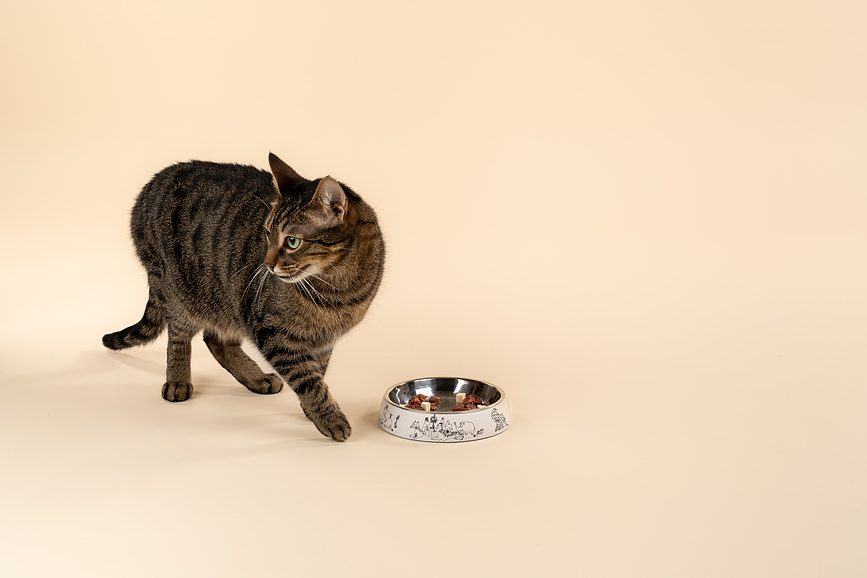 Muurla Moomin Bol pour Chat, blanc