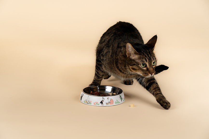 Muurla Moomin Bol pour Chat, blanc