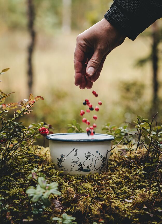 Muurla Moominvalley ΜΠΟΛ, σχέδιο Μούμιν, 600 ml