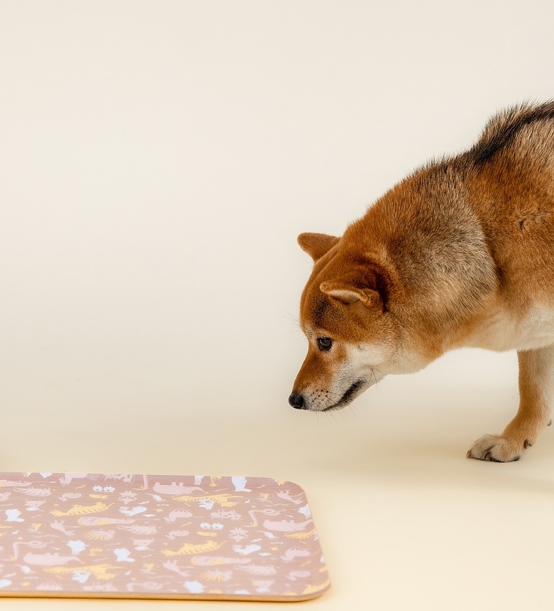 Muurla Moomin Tapis de Gamelle pour chien ou chat, 29,5 x 50 cm