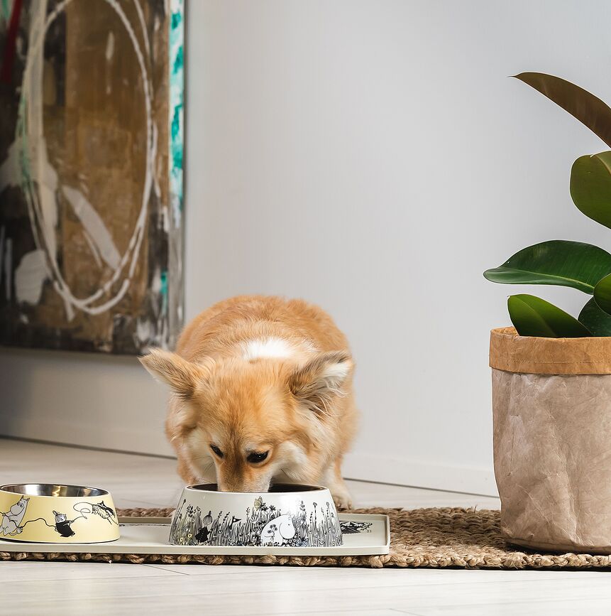 Muurla Muminki Podloga za posodo za psa ali mačko, 40 x 60 cm, siva