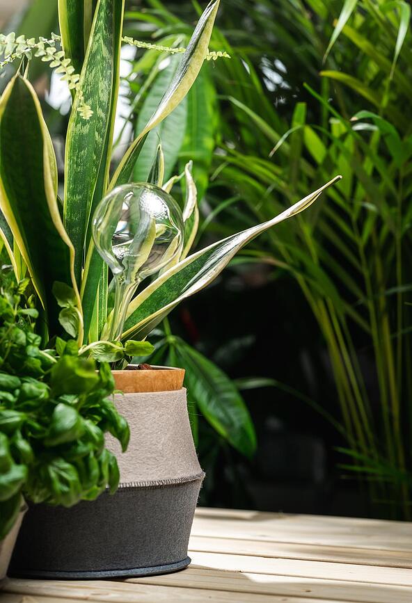 Muurla Ovitki za lončke, 3 kosi