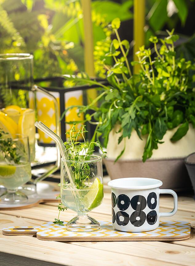 Olo Verres à cocktail, Lot de 2