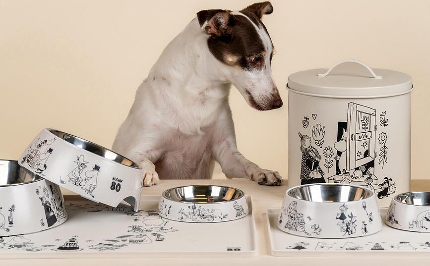 Recipientes para Comida de Mascotas Muurla Moomins 80, Pack de 2 unidades