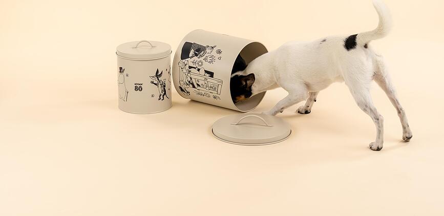 Recipientes para Comida de Mascotas Muurla Moomins 80, Pack de 2 unidades