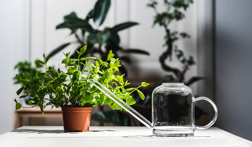 Regadera Muurla de cristal