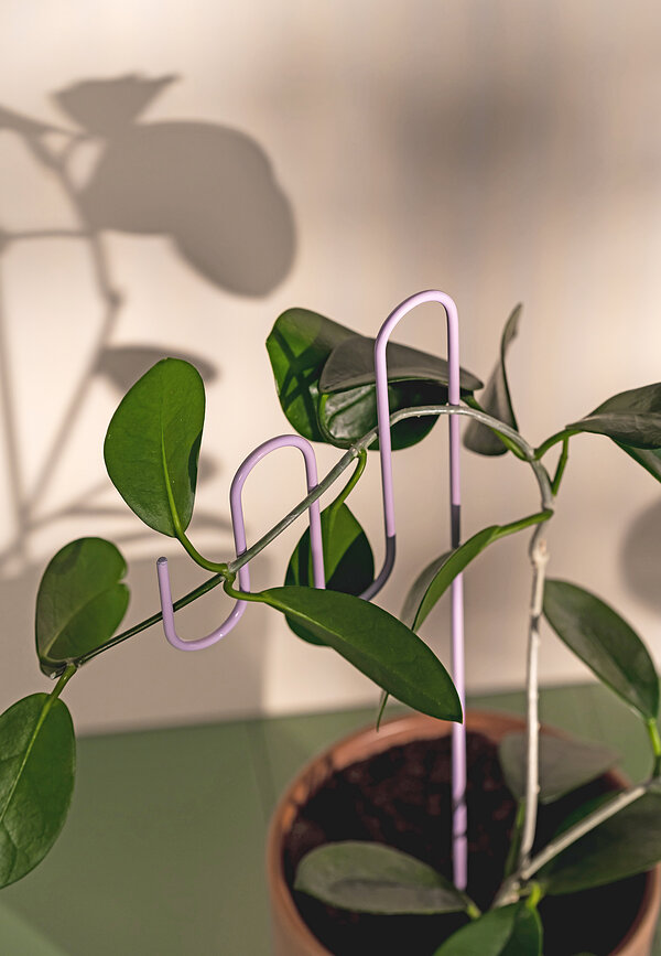 Soportes para plantas Muurla, 3 unidades