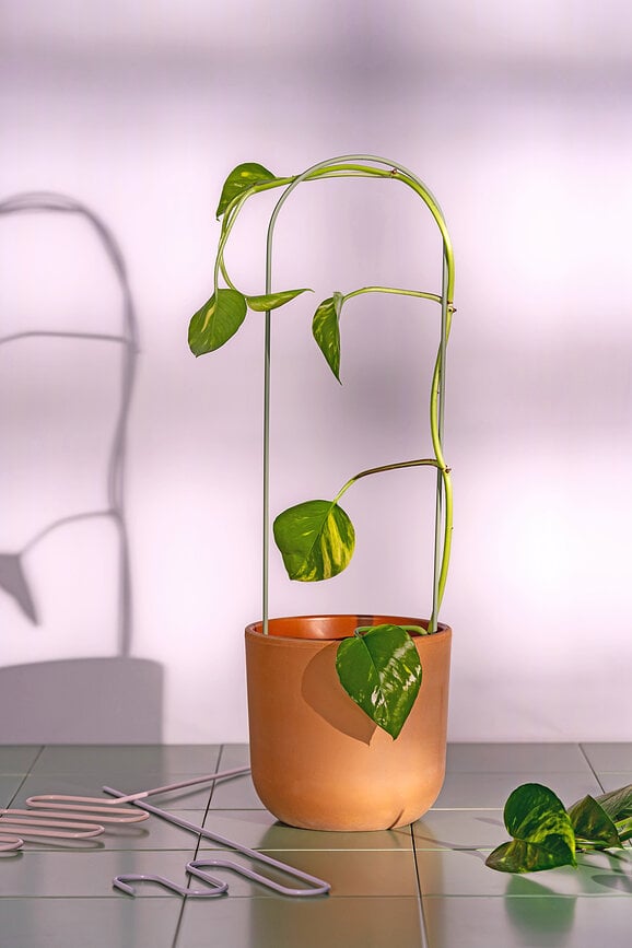 Soportes para plantas Muurla, 3 unidades