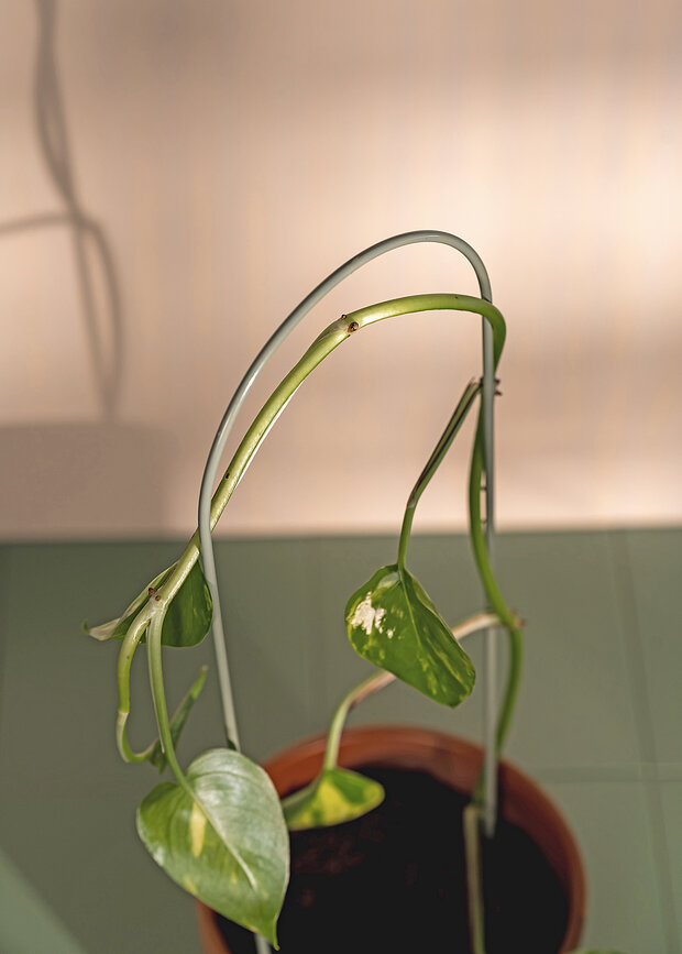 Supports pour plantes Muurla, lot de 3