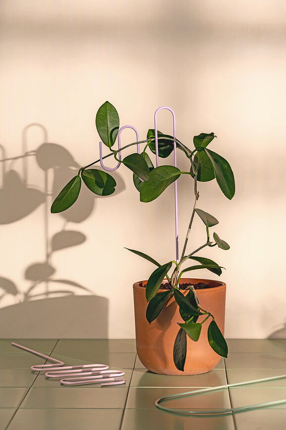 Supports pour plantes Muurla, lot de 3