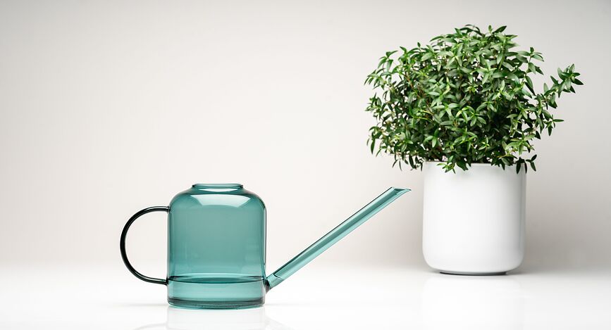 Watering Can Kantica za Zalijevanje 800 ml morska