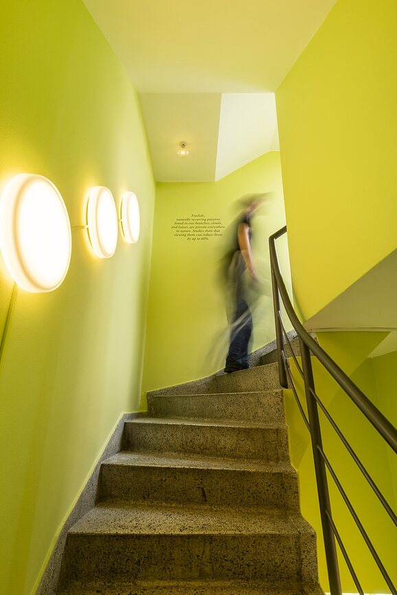 Looped Lampa stropna i zidna