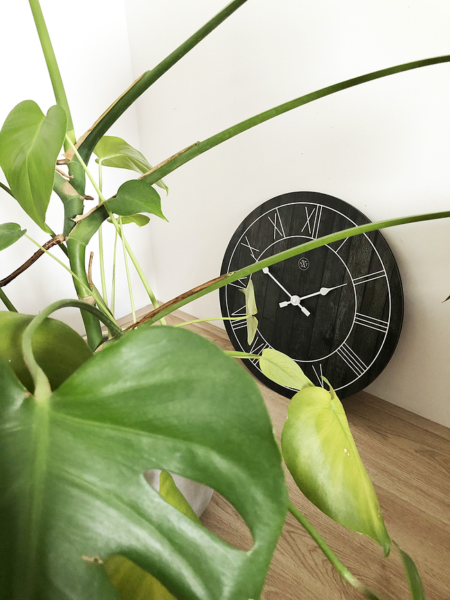 Paul Stenska Ura, temna lesena