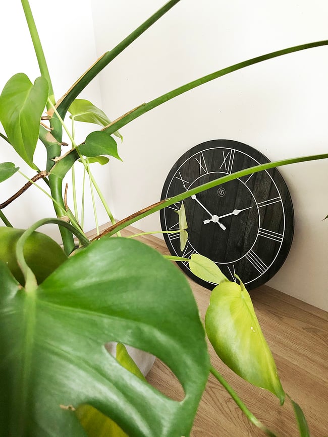 Reloj de pared de madera Paul, oscuro