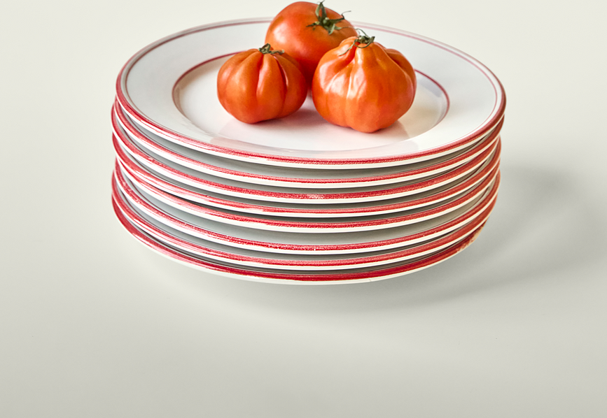 NVBistro Πιάτα Φαγητού, 27 cm, λευκό-μπλε, 2 τμχ