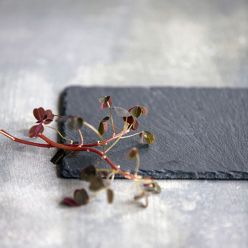 Tabla de servir de pizarra Slate, 20 cm