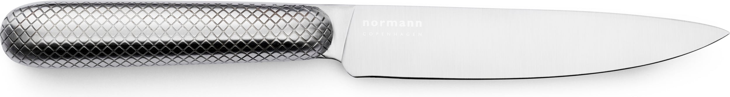 COPENHAGEN steak knives in stainless steel