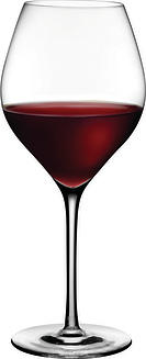 Caprice Punase veini klaasid 2 tk.