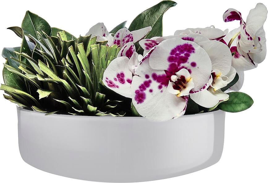 Bol Midnight, gris, talla L