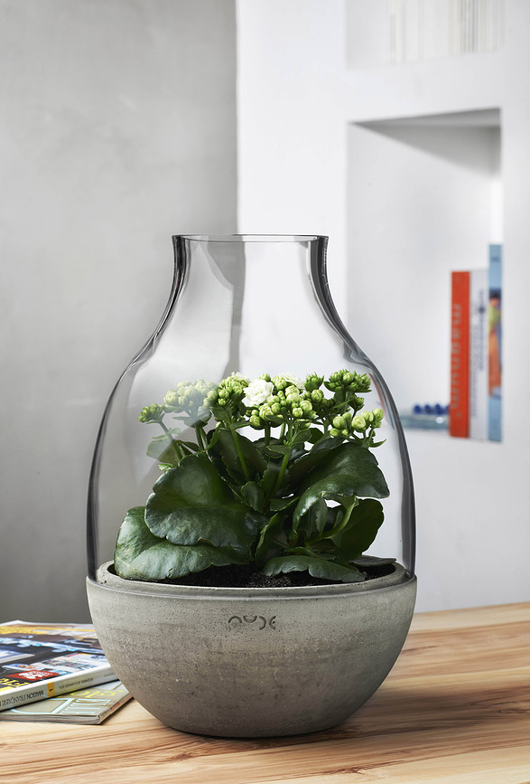 Eden Terrarium 34 cm