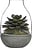 Eden Forest jar container 20 cm