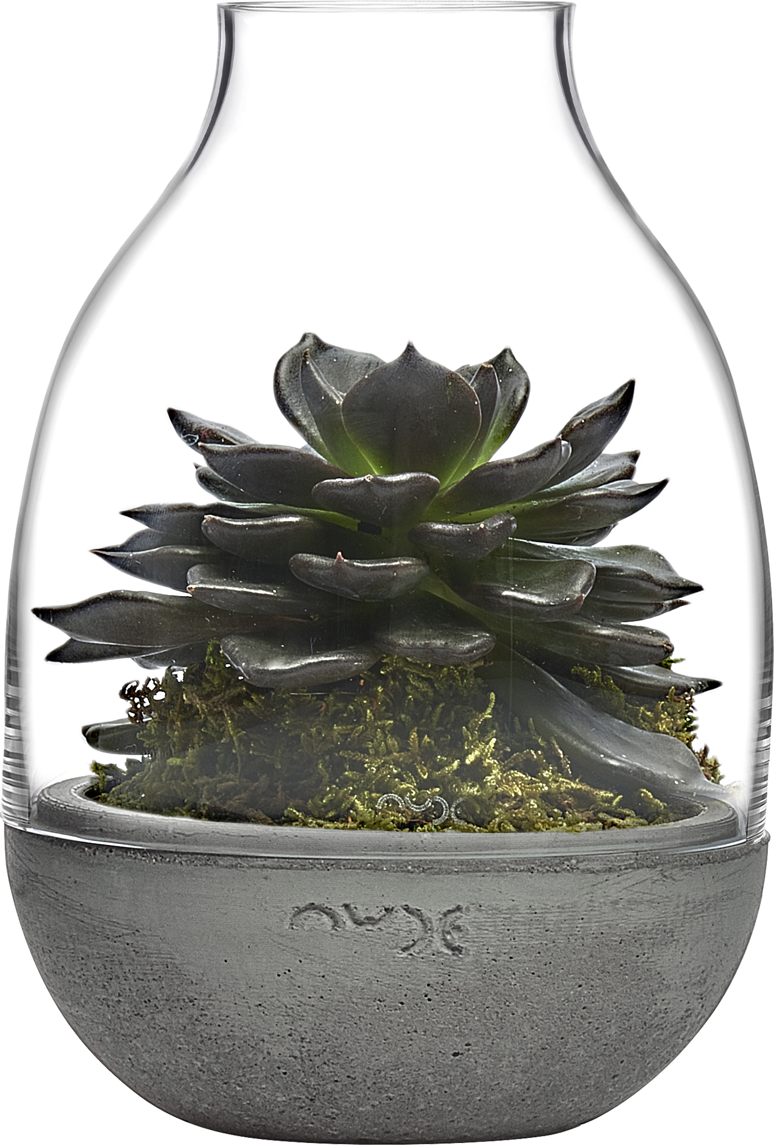 Eden Glasgefäß für Wald im Glas 20 cm