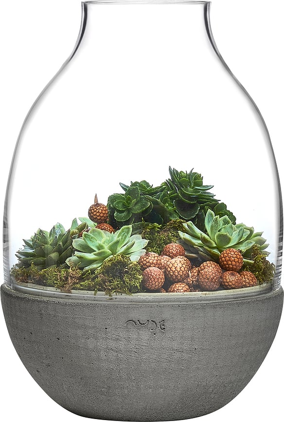 Eden Glasgefäß für Wald im Glas 34 cm