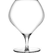 Fantasy Cognac-Gläser niedrig 2 St.