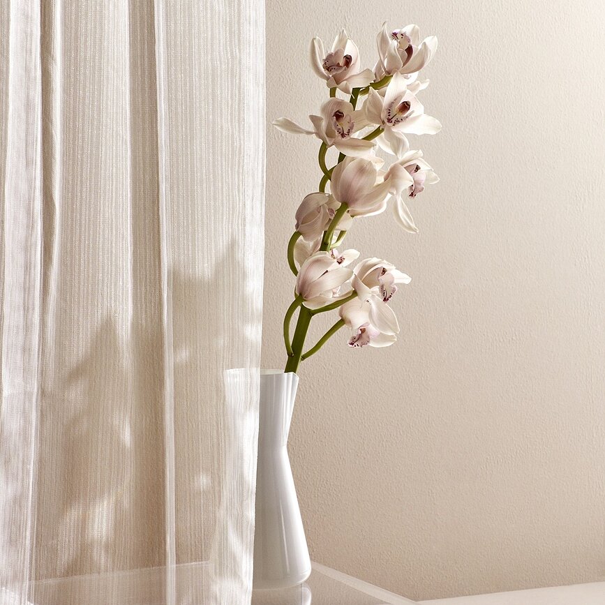 Garrafa para agua Lady, blanca