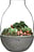 Glazen pot voor planten Eden 34 cm