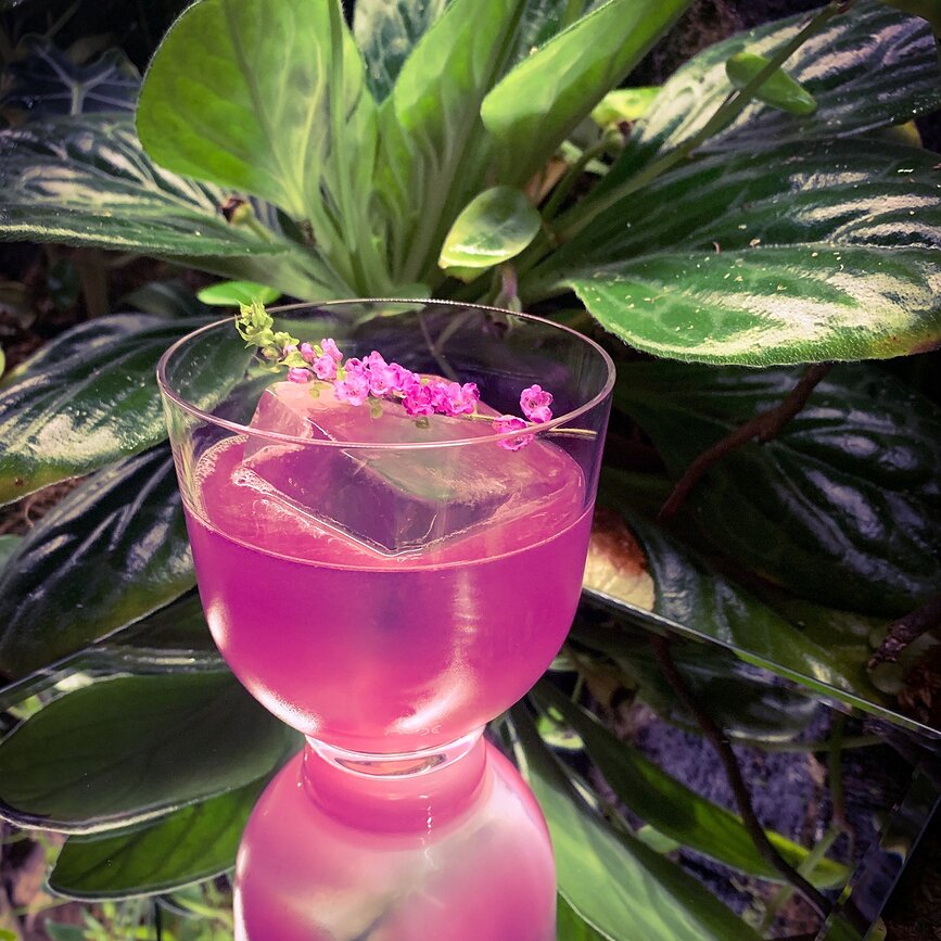 Hepburn Verres à cocktail, Lot de 4