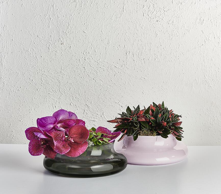 Kurage Vaza zadimljena