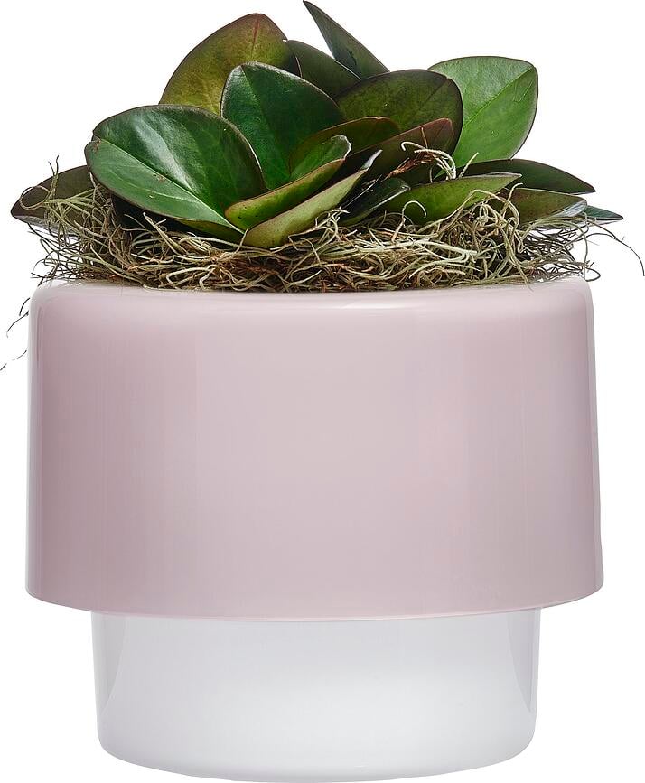 Macetero Roots, 18 cm, gris ahumado