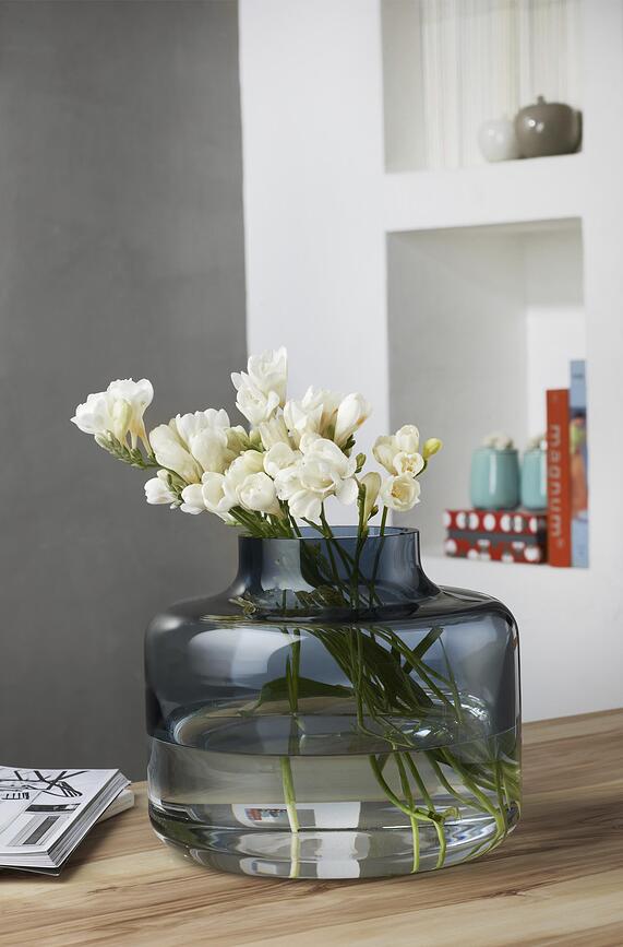 Magnolia Vaza L, moderna