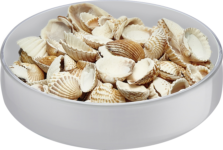 Midnight Bol S, noir