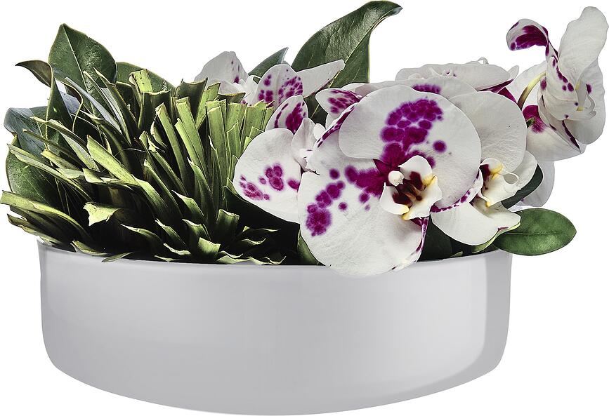 Midnight Zdjela velika siva