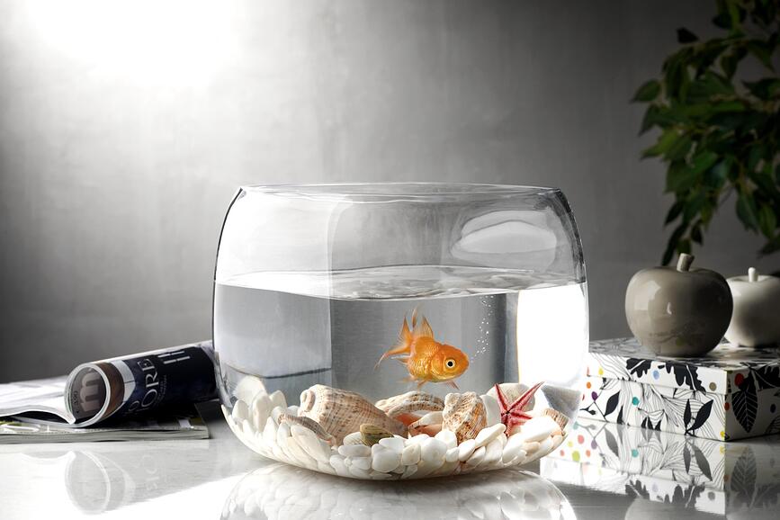 Mono Box XL Βάζο, μπλε