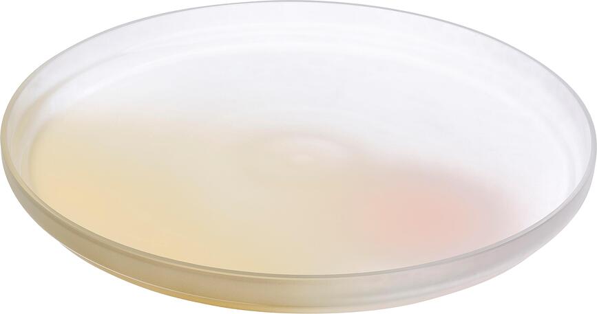 Plato llano Pigmento, 28 cm, rosa