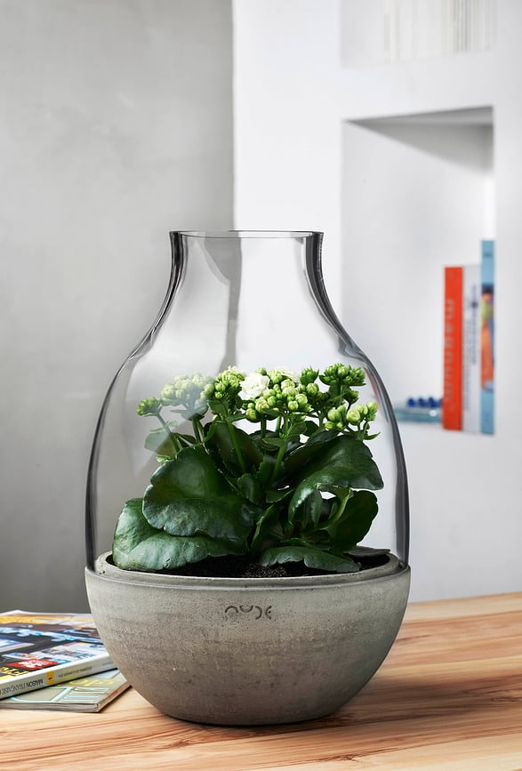 Recipiente de Cristal para Terrario Eden, 34 cm