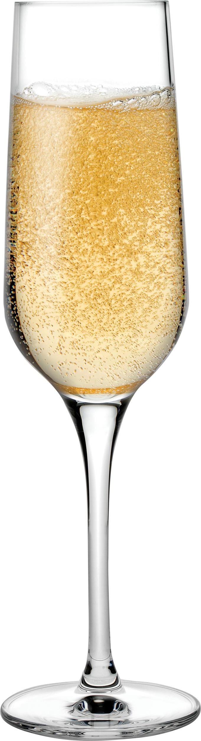 Refine Champagner-Gläser 200 ml 2 St.