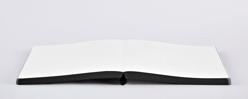 Graphic Cities Paris Notes, pikčast, 256 strani, 120 g/m²