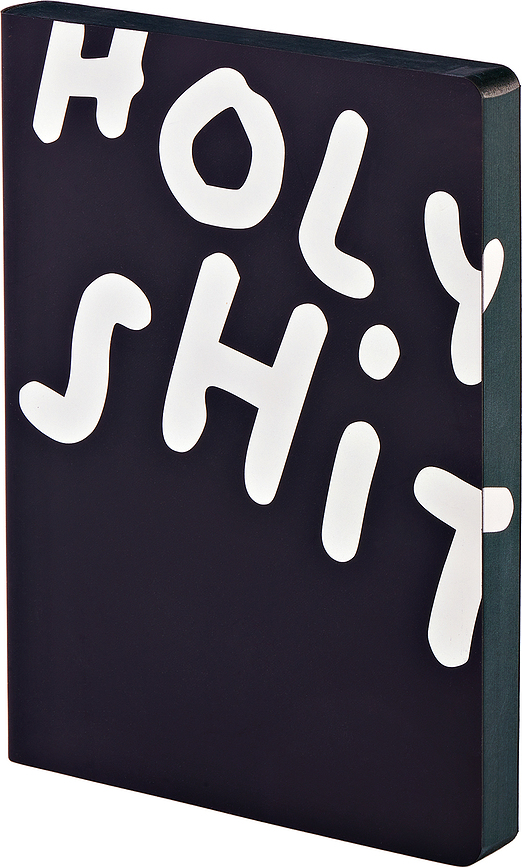 Graphic Holy Shit Anteckningsbok, prickig, L, 256 sidor, 120 g/m²