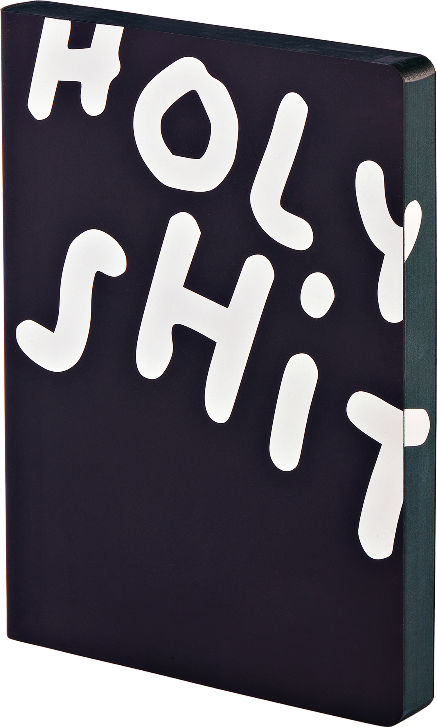 Graphic Holy Shit Gepunktetes Notizbuch L 256 Seiten 120 g/m²