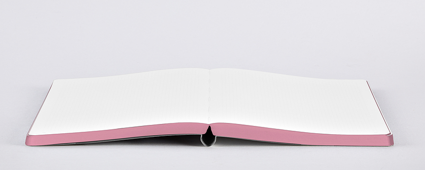 Graphic Sweet Joe Carnet à points, Taille L, 256 pages, papier 120 g/m²