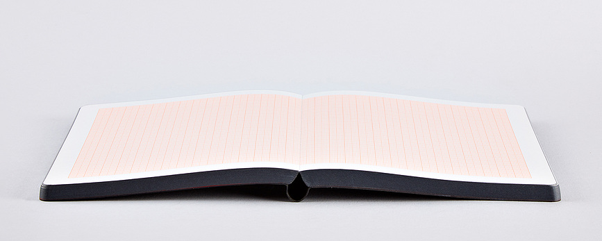 Graphic Millimeter Notes, 256 strani, karo milimetrski, 120 g/m²