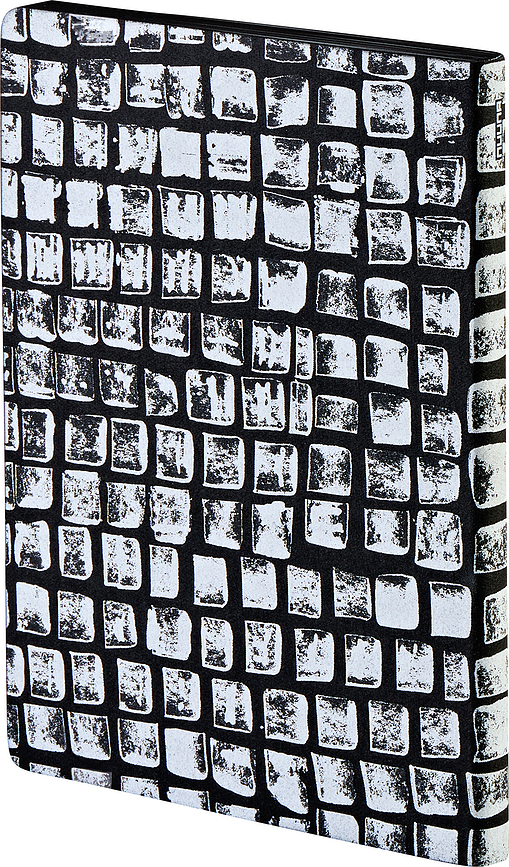 Not Ordinary Sassy Squares Carnet à points, Taille L, 176 pages, 120 g/m²