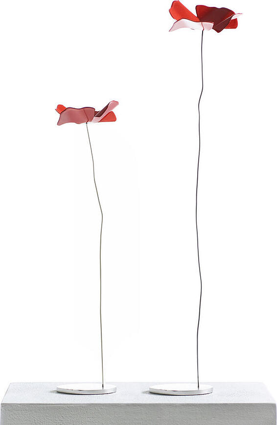 Papavero Delicato Fleur Décorative, taille L, rouge