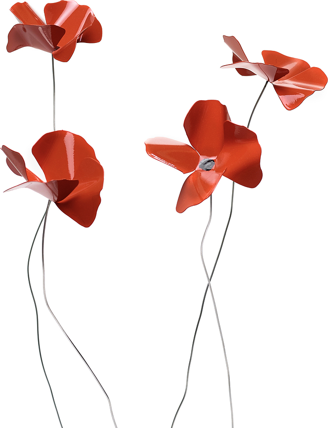 Papavero Delicato Fleur Décorative, taille L, rouge