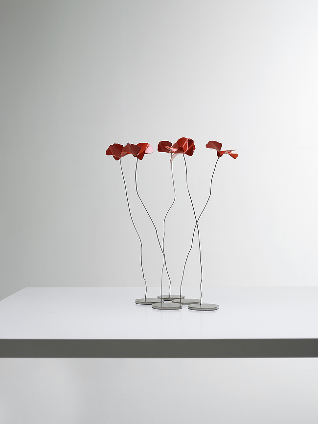 Papavero Delicato Dekoracija, cvet L, rdeča